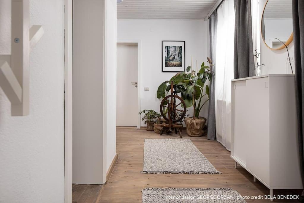 Casa269B - Cozy House With Scandinavian Design モイエチウ・デ・ジョス エクステリア 写真