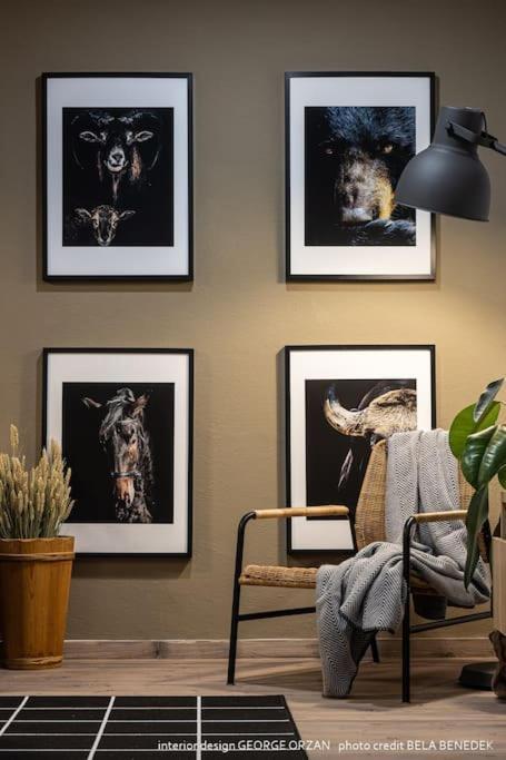 Casa269B - Cozy House With Scandinavian Design モイエチウ・デ・ジョス エクステリア 写真