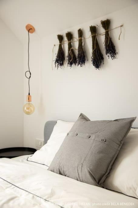 Casa269B - Cozy House With Scandinavian Design モイエチウ・デ・ジョス エクステリア 写真